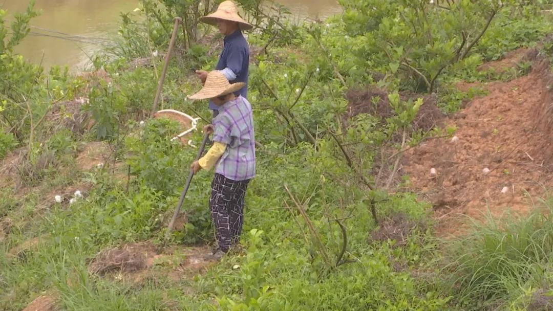 县妇联创业贷款工作半年总结,妇联创业贷款简报