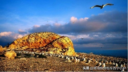 青海那么美,青海小驴旅游攻略