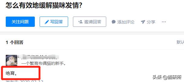 疫情出不去猫咪绝育拆线怎么办,猫咪发情期间能做绝育手术吗