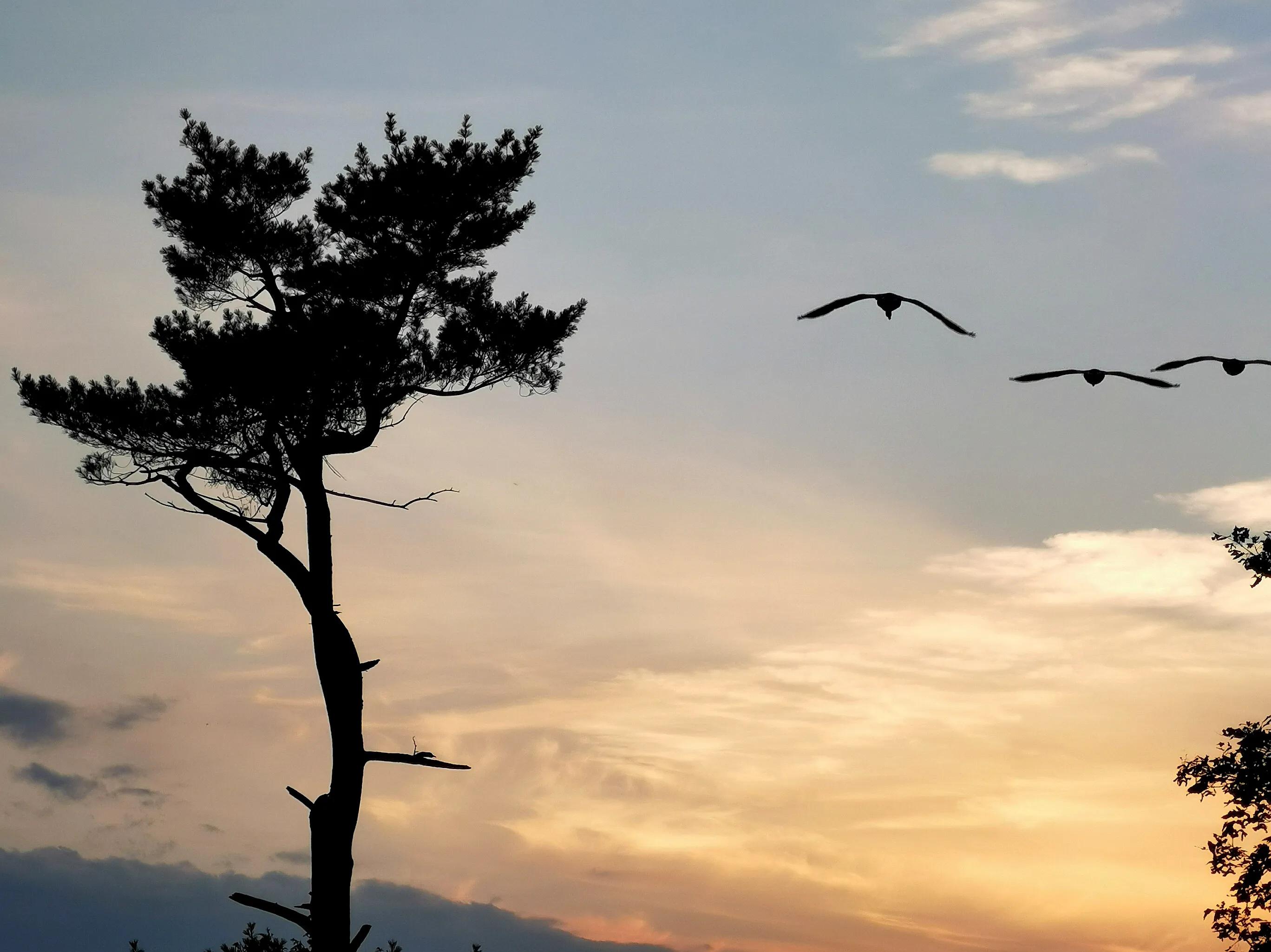 手拍世界手机摄影平台,手机摄影作品集大全集