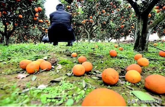 农村淘宝目前发展的困境,农村淘宝现在为什么都退出了