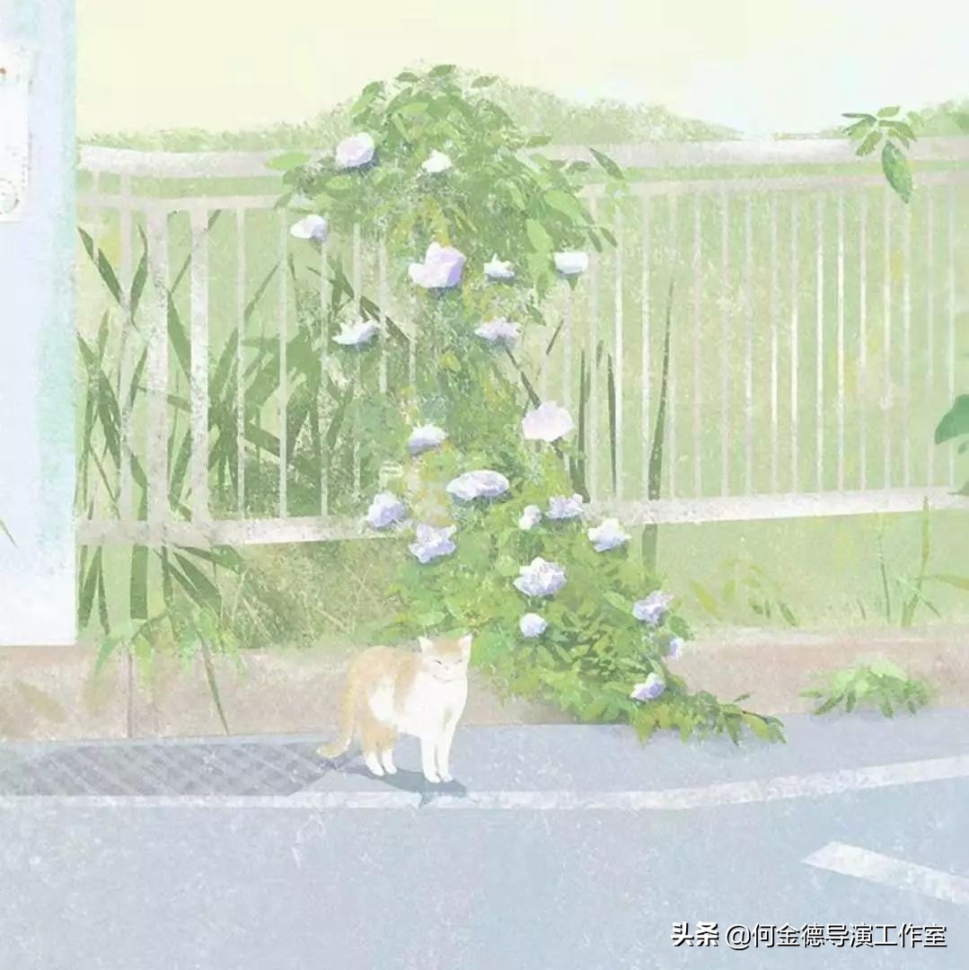 一位女大学生的家教心得：《我的家教之路与一些小建议》