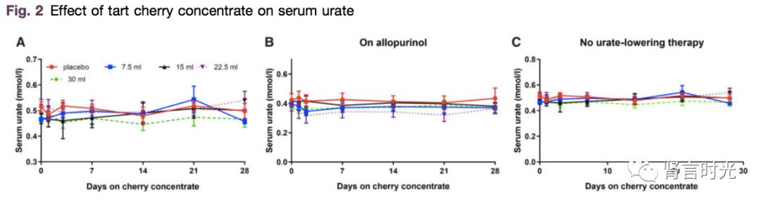 樱桃为什么能缓解痛风,樱桃抑制尿酸