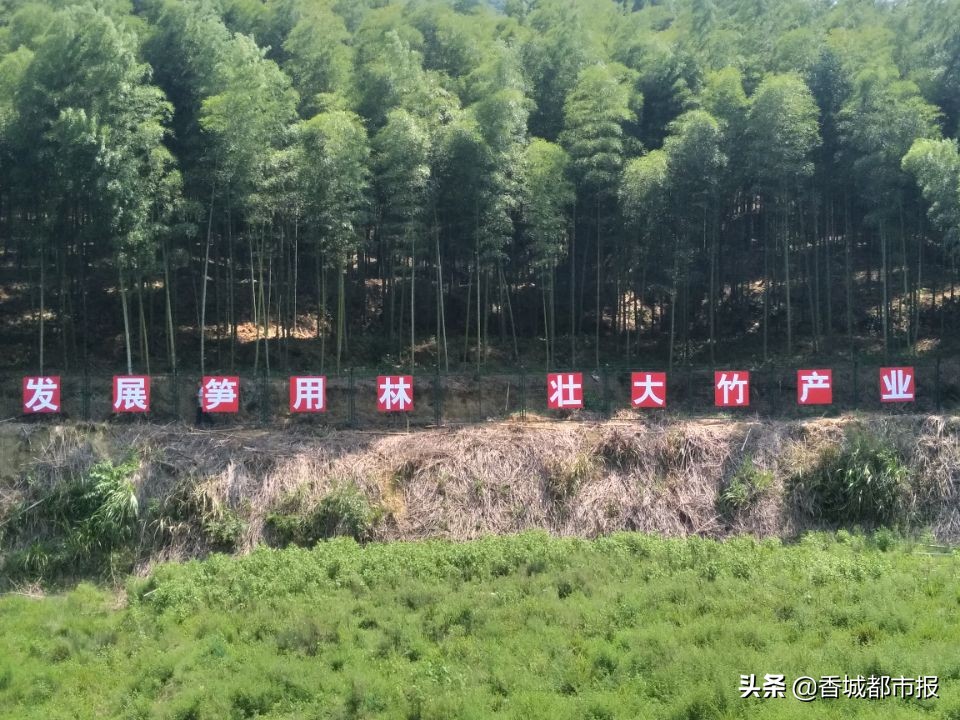 当好店小二,当好店小二服务企业