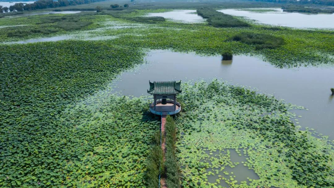在济南花式避暑,一见“清”心!只需一瞥,便足以把酷夏原谅…