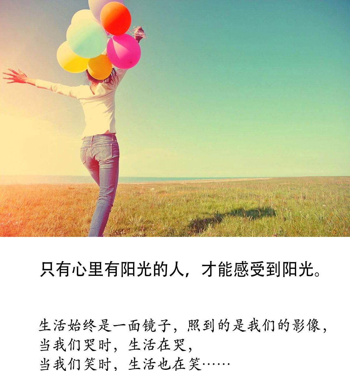 周公解梦梦见蜘蛛和蛇,梦见蜘蛛结网是什么意思