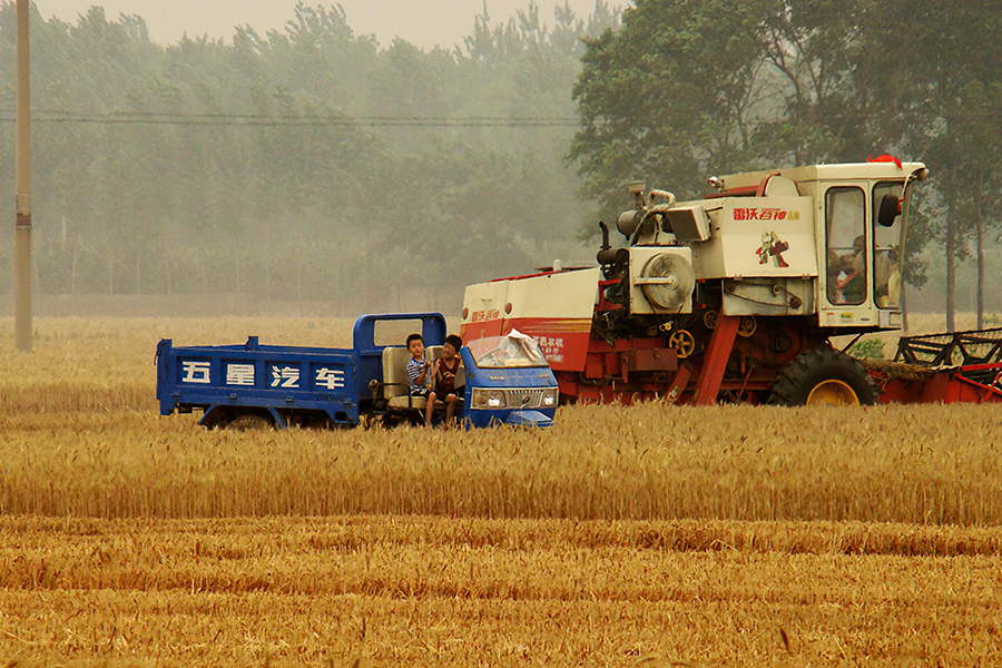 农村包地10亩每亩500元能赚钱吗,农村包地1000亩利润与开支