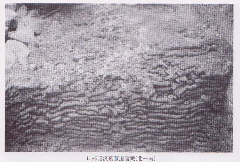 芒砀山景区有兵马俑,芒砀山梁孝王陵兵马俑