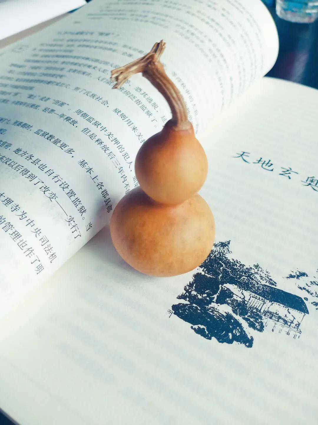 葫芦虽小藏天地,伴我云云万里身