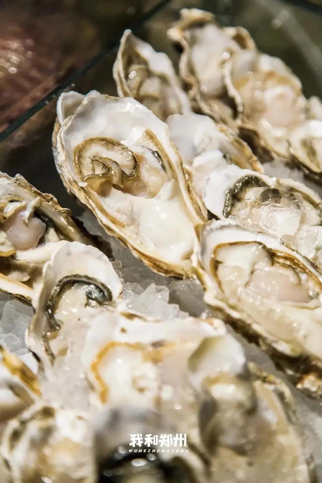 鑸屽皷涓婄殑缇庨娣卞害涔嬫梾,甯︿綘浜彈鑸屽皷涓婄殑缇庨