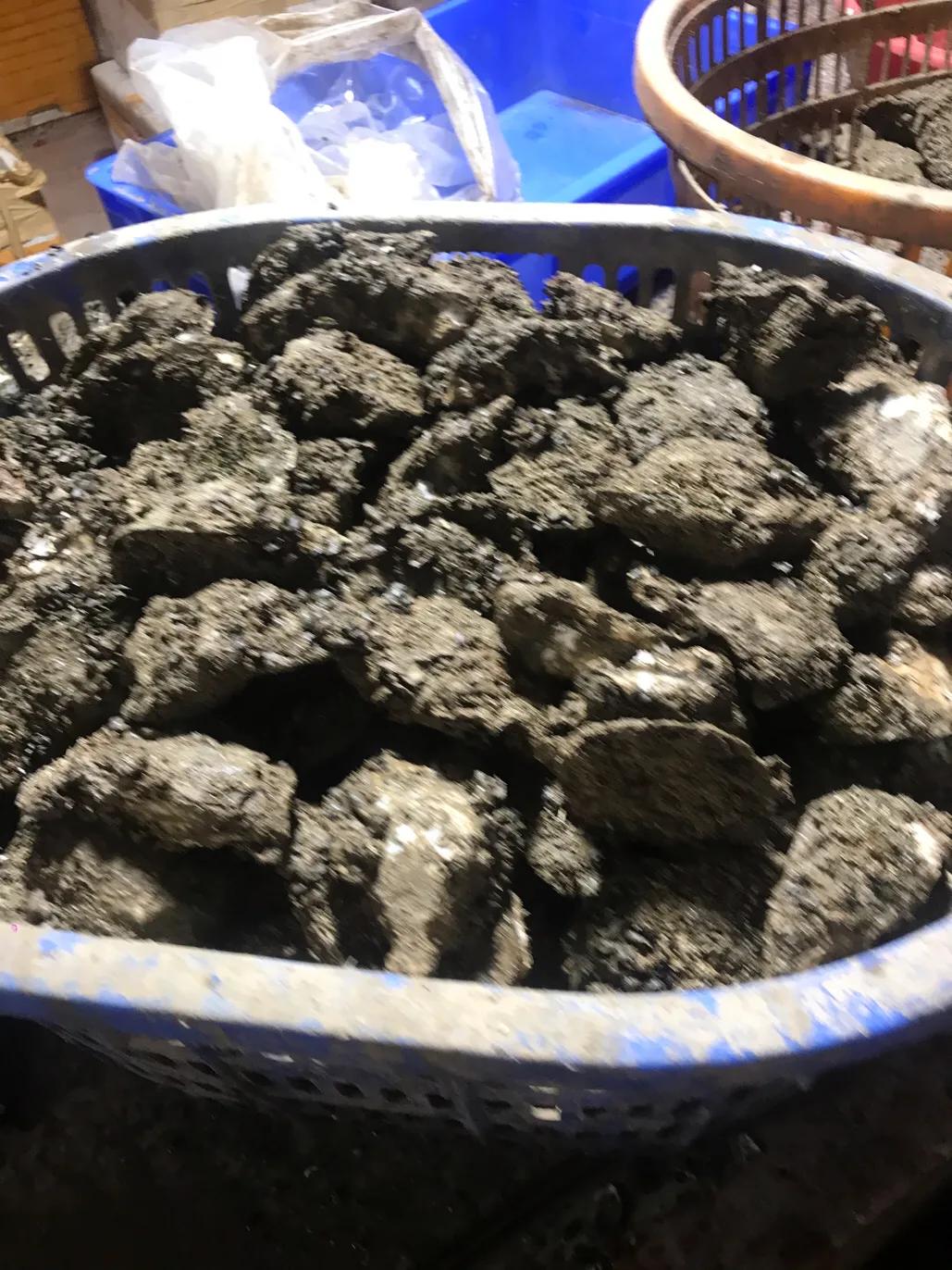 珠海斗门哪里海鲜便宜,吃货必去的海鲜城市