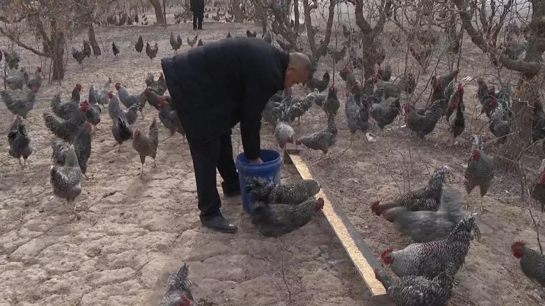 新春走基层老百姓心里踏实了,新春走基层扶贫暖人心