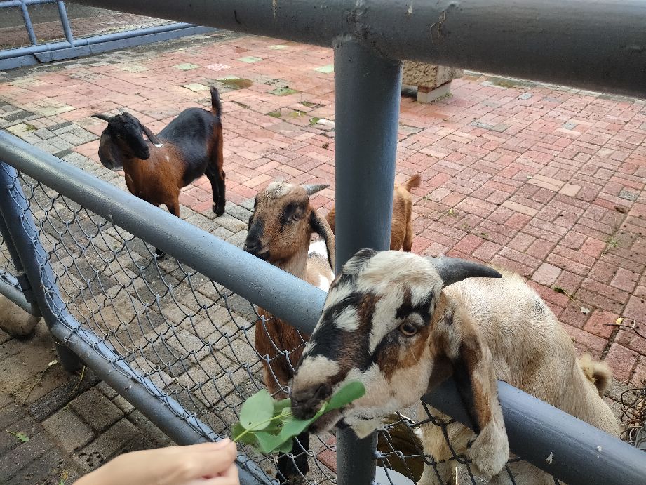 沈阳周边有山有水的免费景点,沈阳工业展览馆2021车展免费门票