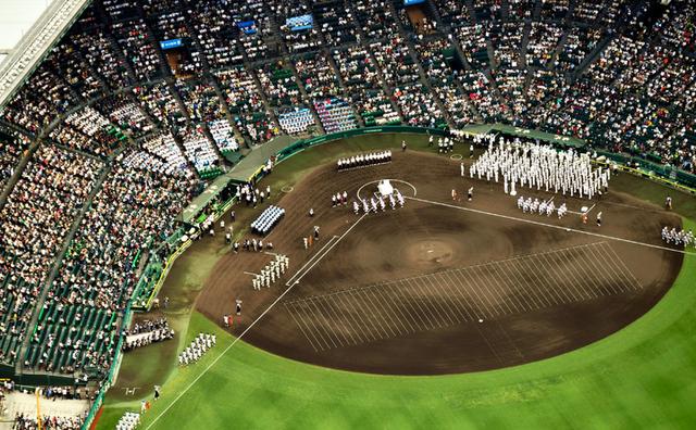 日本夏季甲子园停办,甲子园大哭