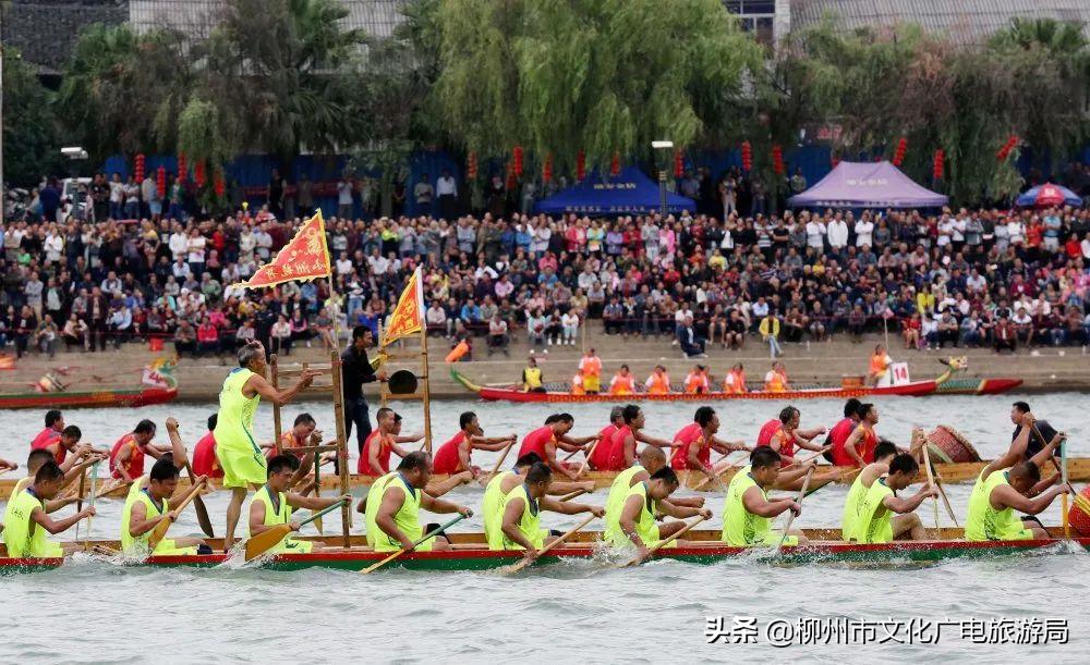 2023年融安龙舟公开赛选场,融安龙舟公开赛直播