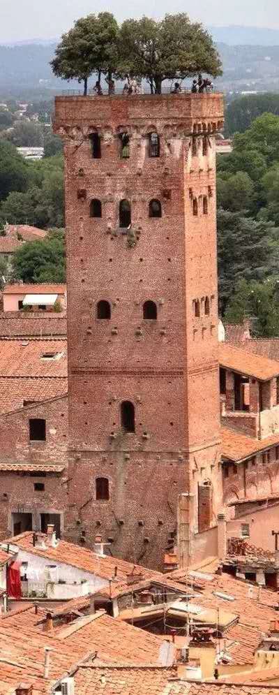 太壮观了动态图片,太壮观了的图片