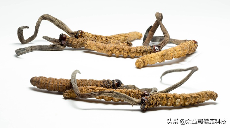 印度神油大数据：哪个地区的人最关注？