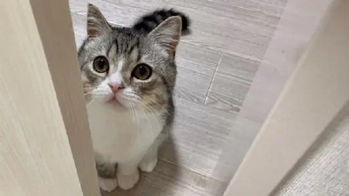 中国“无根一代”不断崛起:更多的90后年轻人,已经不和亲戚往来