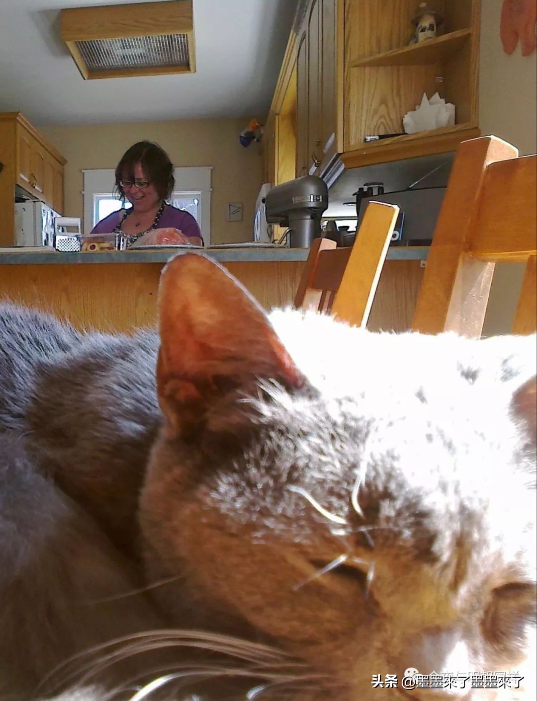 加拿大人慢节奏,加拿大人的日常生活