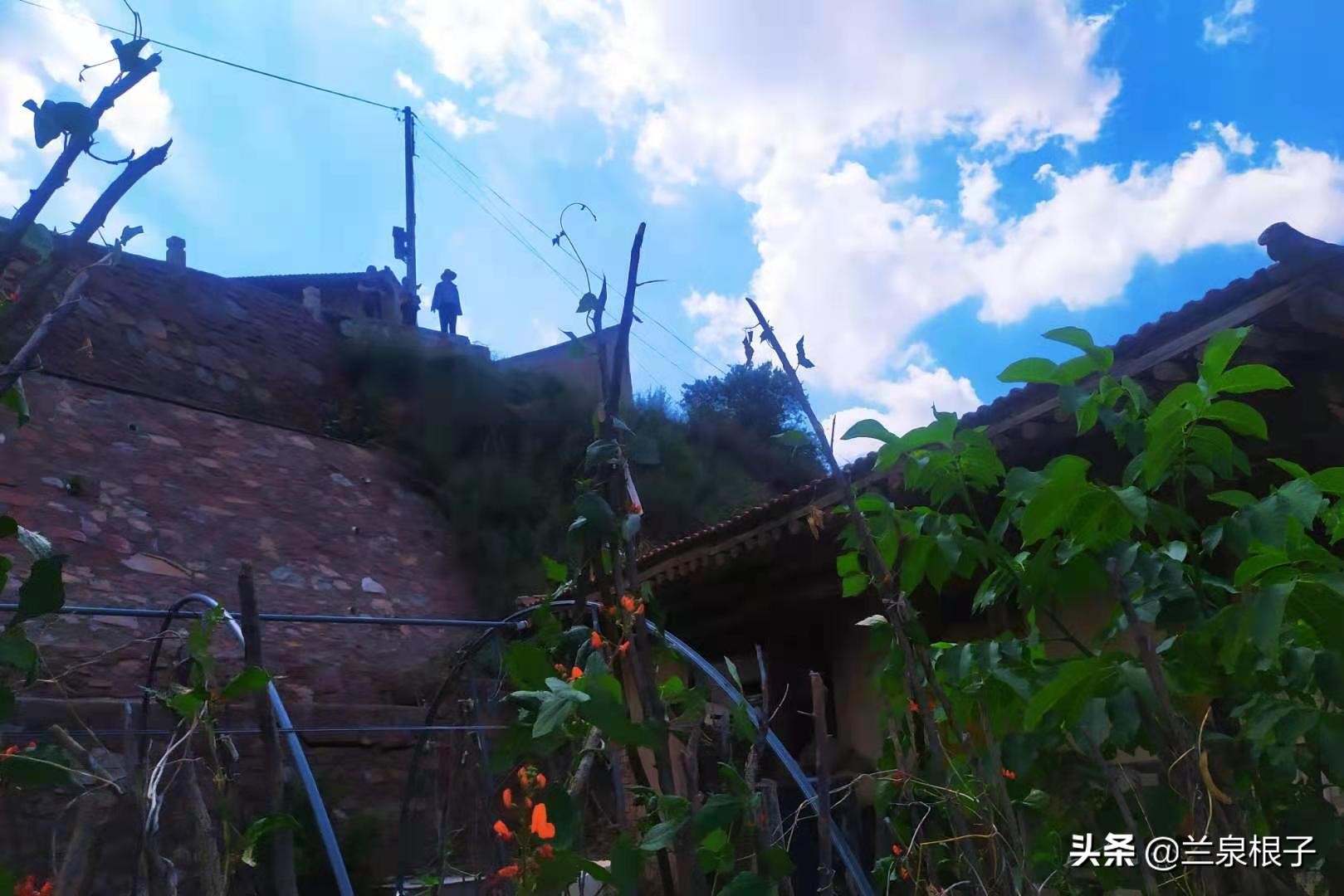 兰州南部大山深处山脊线上的美丽原野乡村沟对巴