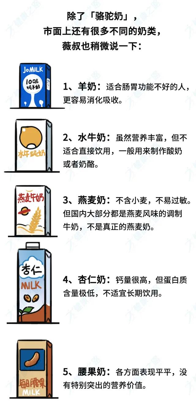 骆驼奶有什么功效,骆驼奶真的有效果吗