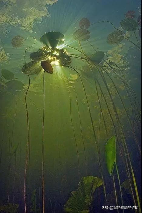 370个成语之最风趣幽默太精辟了,100个幽默成语大全