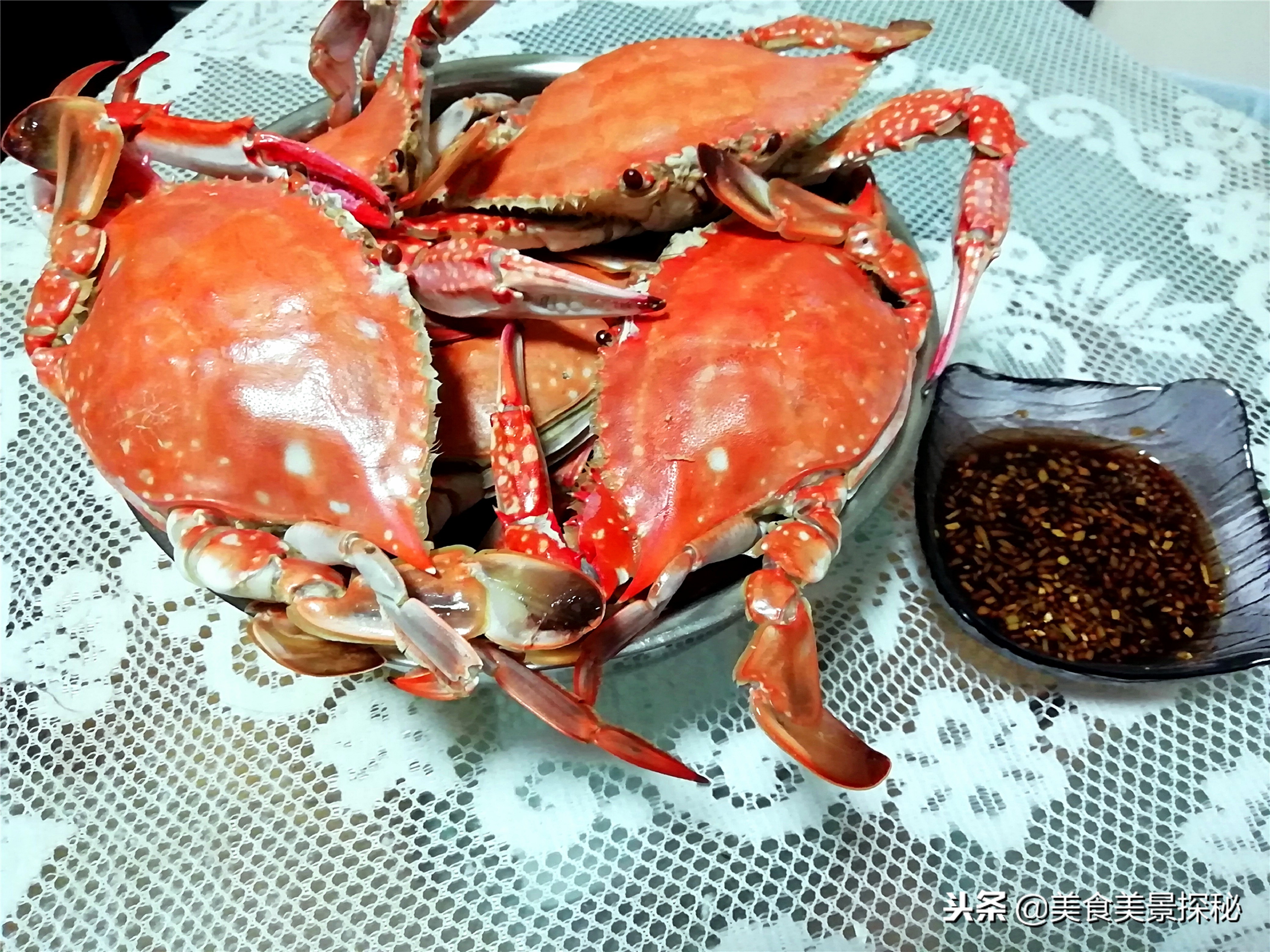 天津游玩攻略东疆湾,天津东疆湾旅游攻略