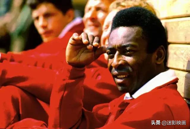 贝利史泰龙主演的电影,贝利和史泰龙合作的电影