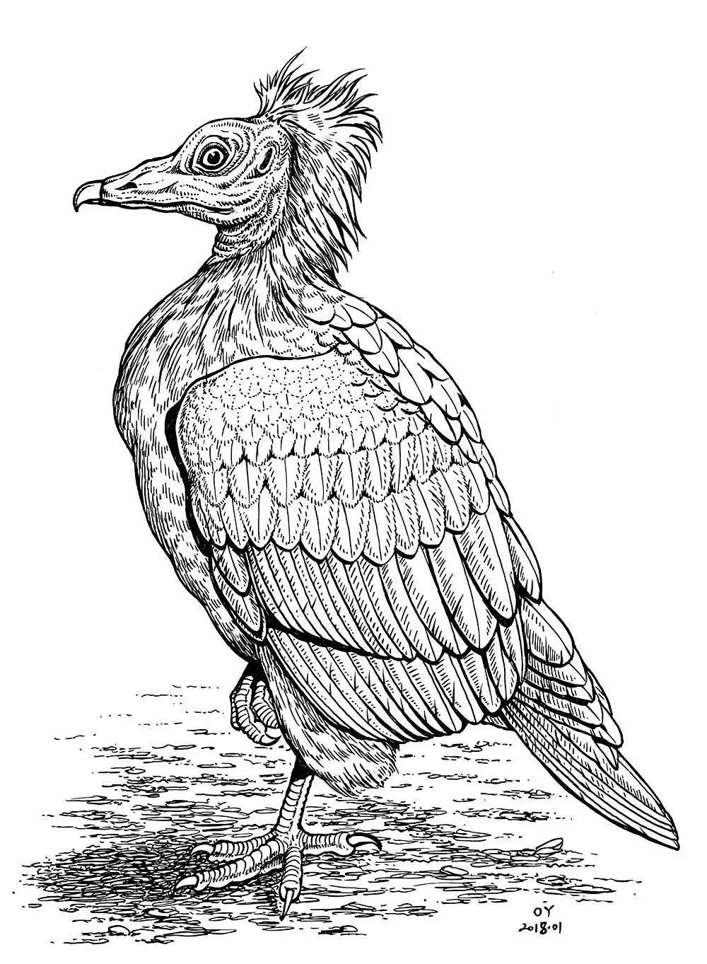 最简单的针管笔,如何练好针管笔