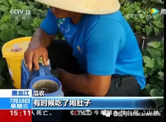 “嘎嘎甜”的香瓜，可能与“増甜剂”一毛钱的关系也没有