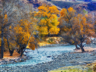 新疆摄影环线游之独库公路,独库游记