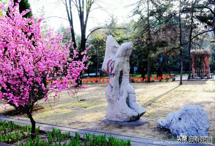 山西农大美丽的校园,山西农大校园风光