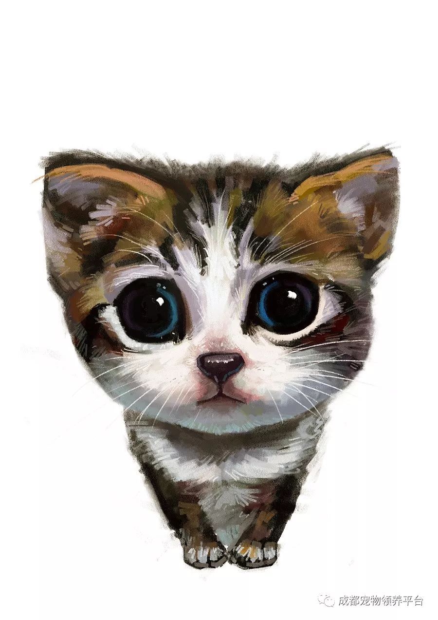 谁说土猫无名猫?快来围观古代猫谱,你家有没有镇宅神兽!