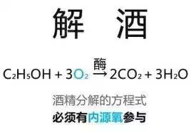 解酒九法口诀视频,解酒九法