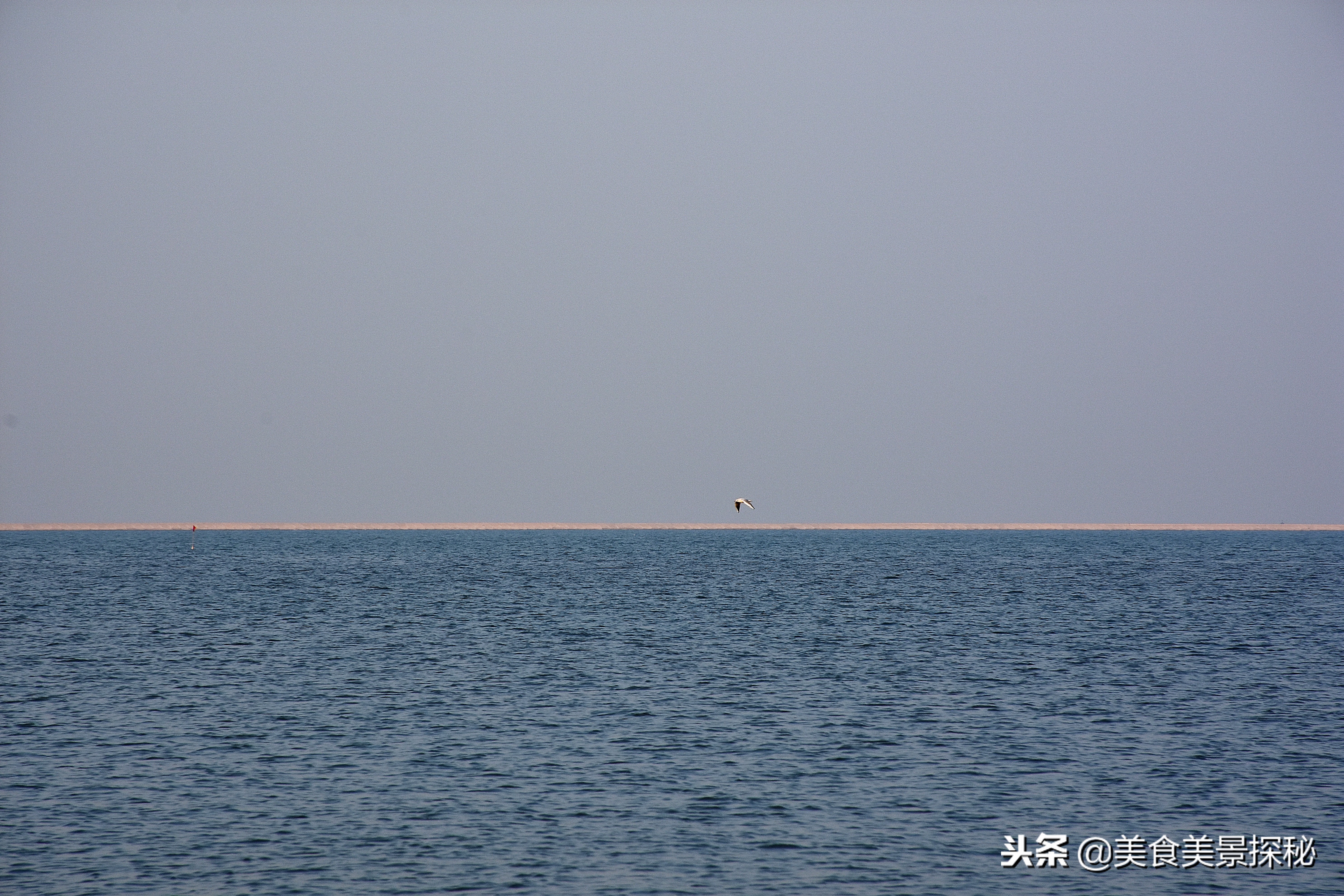 天津游玩攻略东疆湾,天津东疆湾旅游攻略