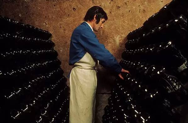 朱卫东朗诵作品,朱卫东的全部视频