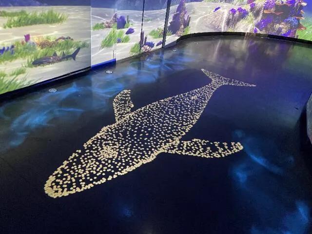 深圳十大暑假室内必去景点,深圳暑假值得带孩子旅游的地方