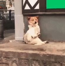 搞笑gif趣图兄弟们来跟我一起摇摆,大哥搞笑动图gif