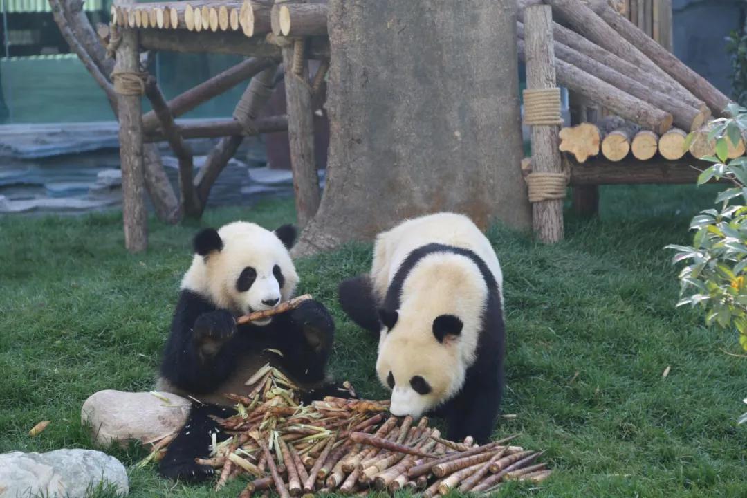 聊城冬季亲子游,聊城儿童暑期旅行攻略