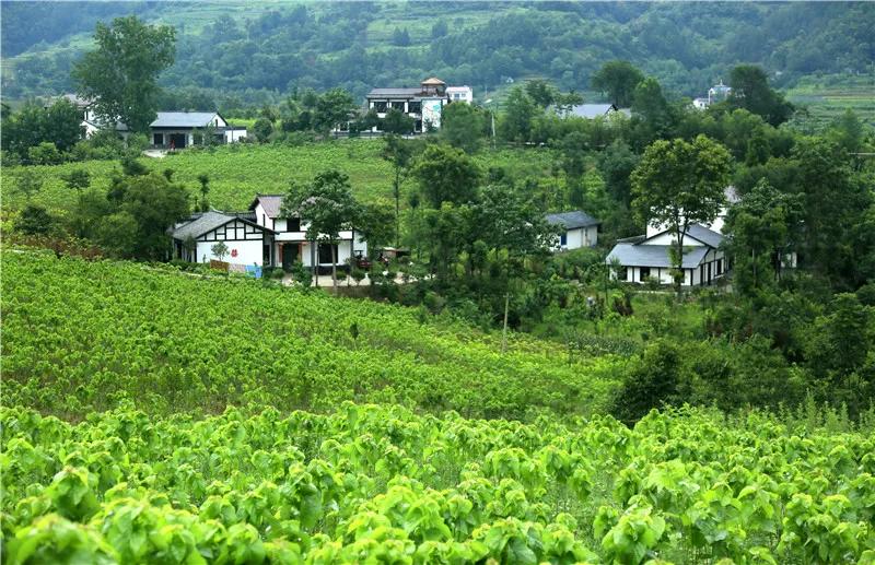 石泉古镇一日游攻略,秦巴水乡石泉十美景区