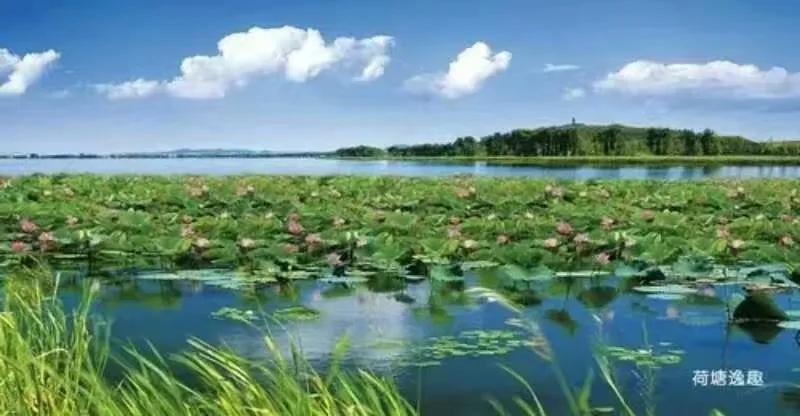 閾佸箔鍗拌薄濡備綍,閾佸箔鍗拌薄