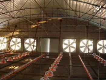 养殖鸡舍负压的意思,鸡舍负压高有什么影响