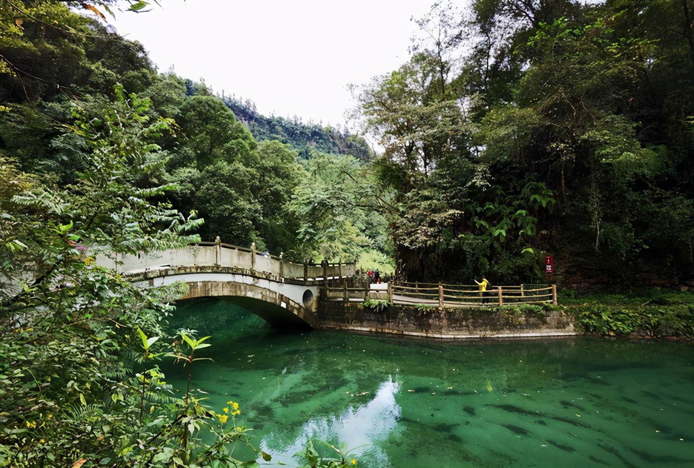 深秋峨眉风光好——「清音阁/金顶/红珠山温泉」三日行