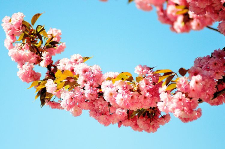 天秤座男对恋人失望了会怎么样呢,天秤座对一个人失望有哪些表现