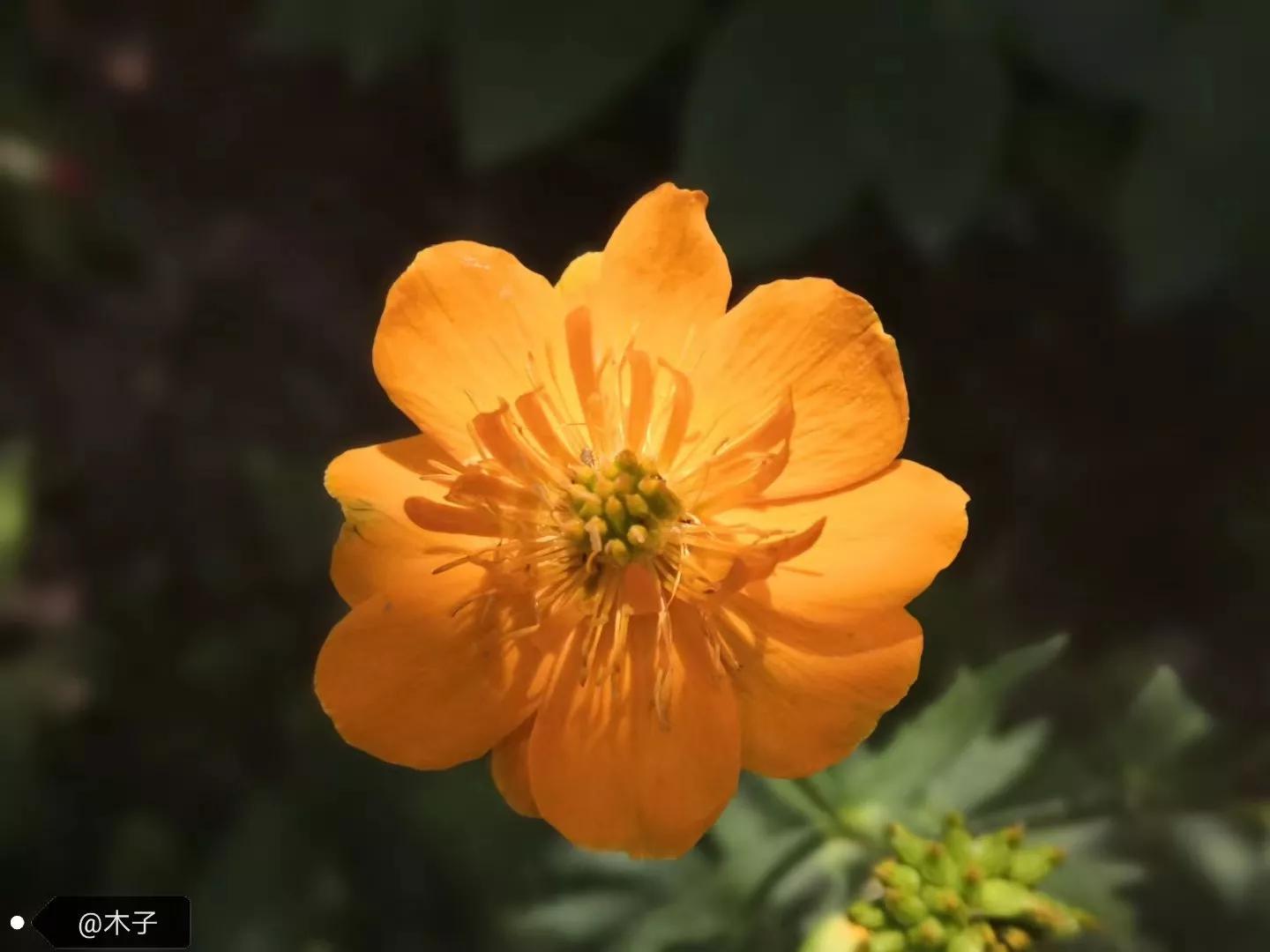 又见五台山主题曲,又见五台山门票多少钱一张