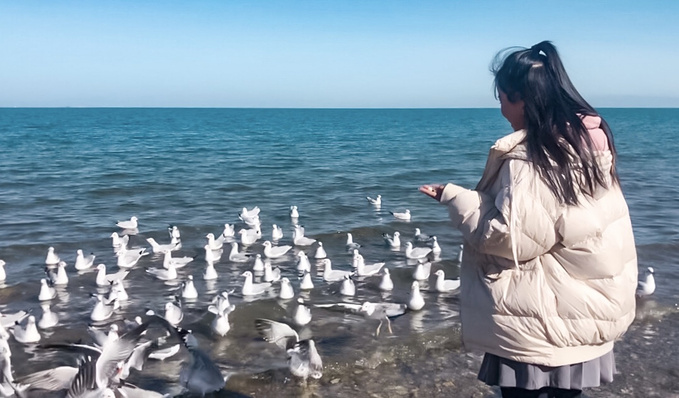 去一趟大西北的旅行,大西北旅行青藏高原