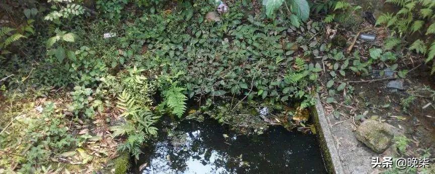 儿时挑水的经历,小时候捡砂井