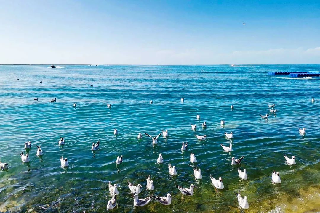 青海最值得去的11个网红景点,青海人间仙境美如画