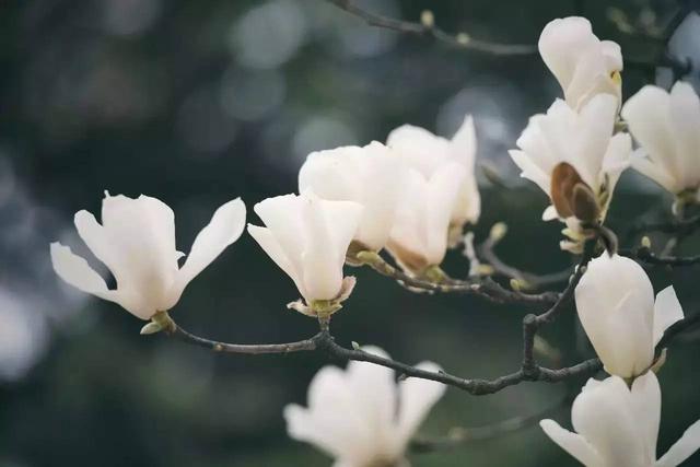 鏁ｆ枃鍐ぉ鐨勯,鏆栨殩鐨勯鏁ｆ枃