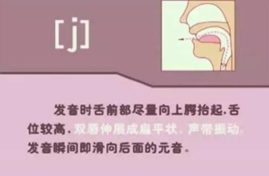 英语26个字母标准发音音标,48个音标的标准发音